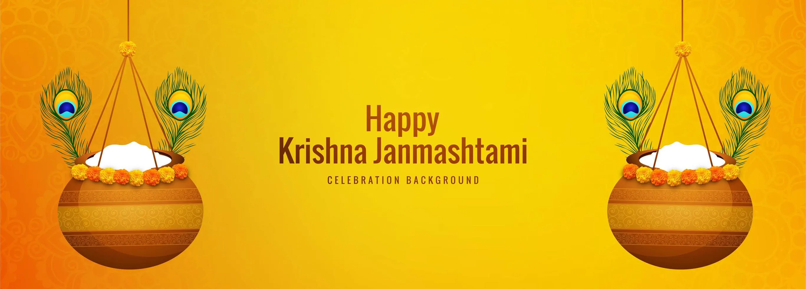 भगवान श्रीकृष्ण की मनमोहक झांकी, जन्माष्टमी पूजन