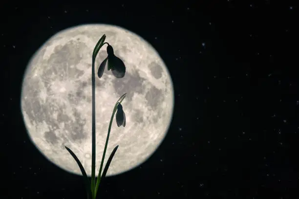 moon transits moon in astrology